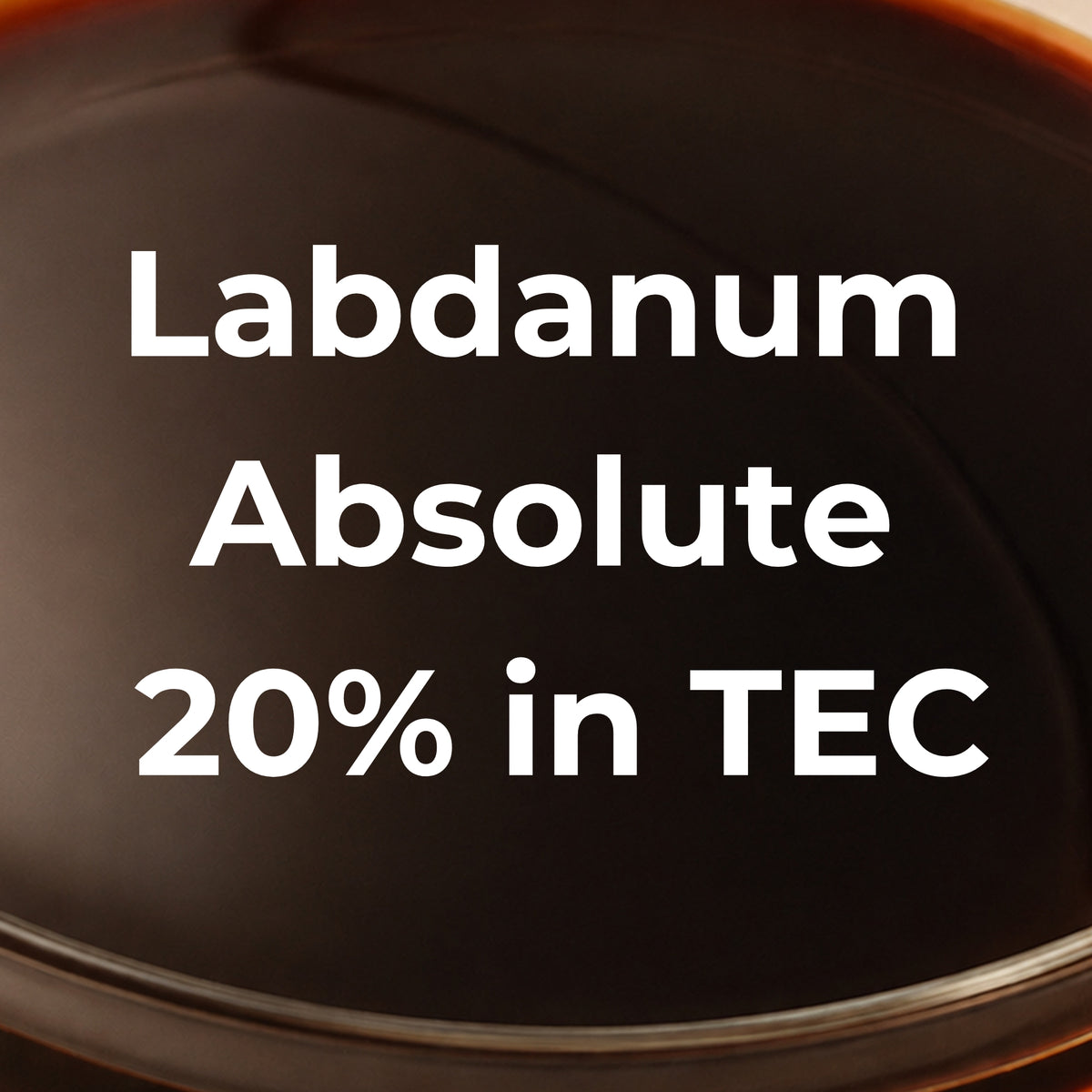 Labdanum Absolute 20% in TEC – natürliche Amber (Cistus ladaniferus)