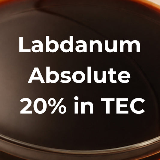 Labdanum Absolute 20% in TEC – natürliche Amber (Cistus ladaniferus)
